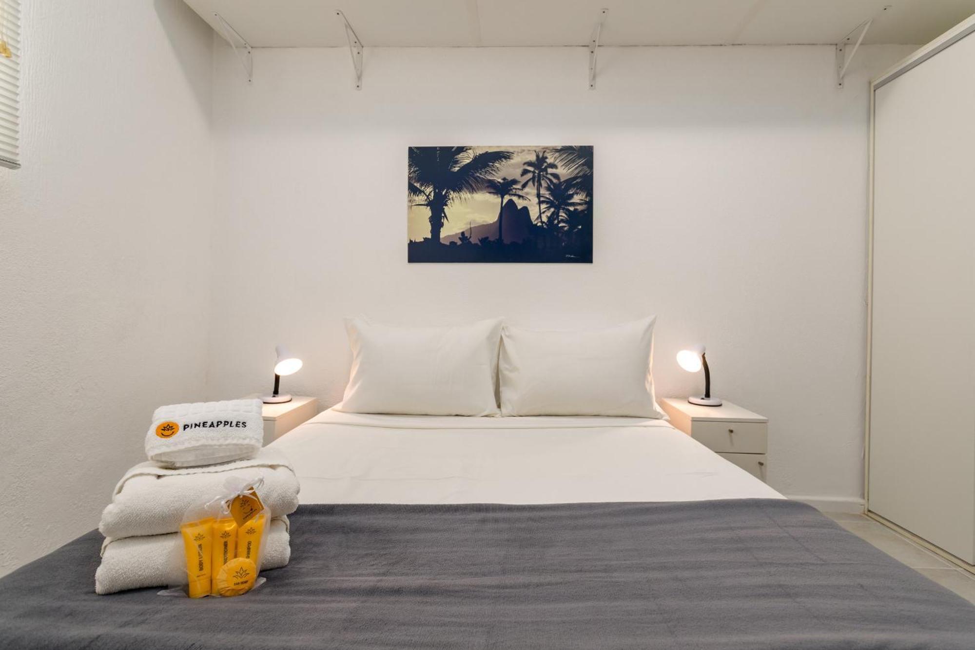Charme Em Ipanema - Ideal Casais - Ns101 Z1 Apartamento